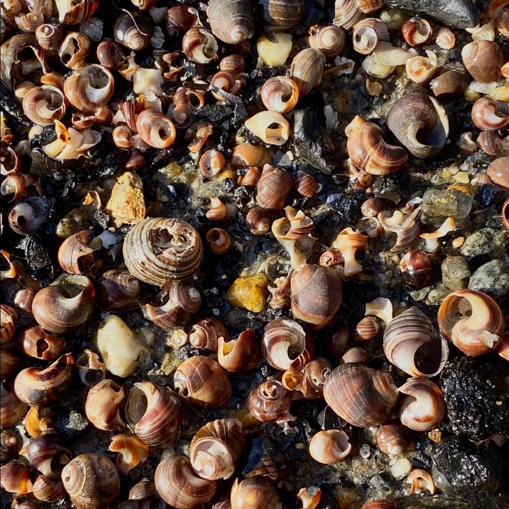 Meet your Posher, Kati